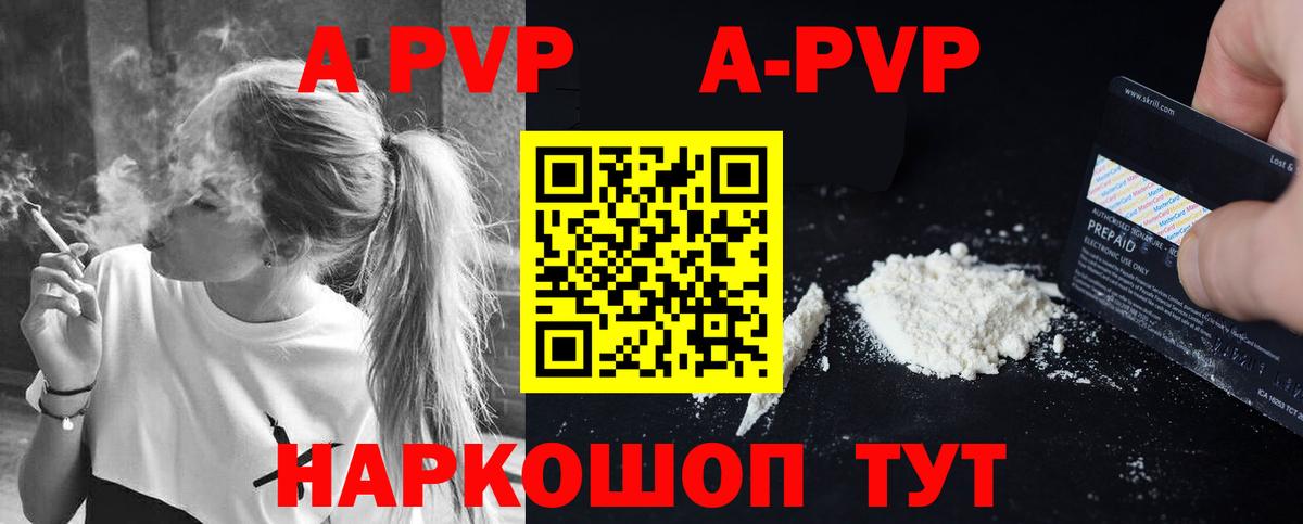 Alfa_PVP СК Сокол