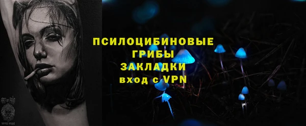ГАЛЛЮЦИНОГЕННЫЕ ГРИБЫ Куйбышев
