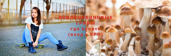 таблы Липки