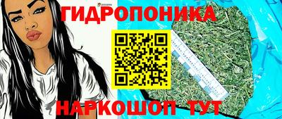 эйфоретик Кингисепп
