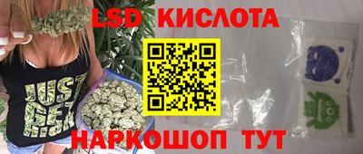 эйфоретик Кингисепп