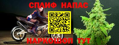 эйфоретик Кингисепп