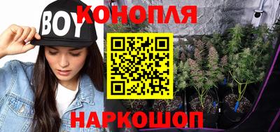 эйфоретик Кингисепп