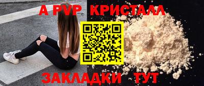 эйфоретик Кингисепп