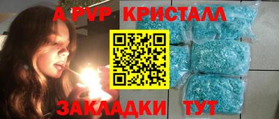 эйфоретик Кингисепп