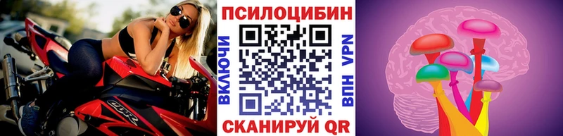 kraken как зайти  купить  сайты  Сокол  Псилоцибиновые грибы Magic Shrooms 