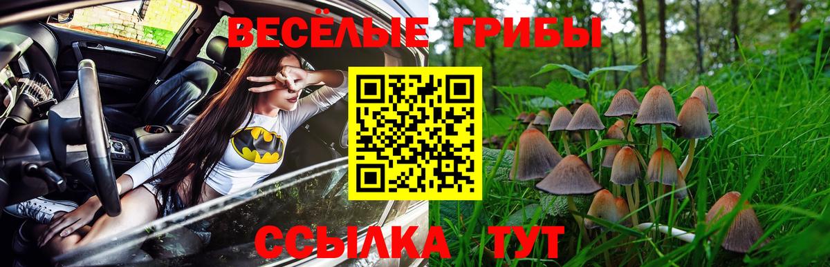 Галлюциногенные грибы Cubensis Сокол