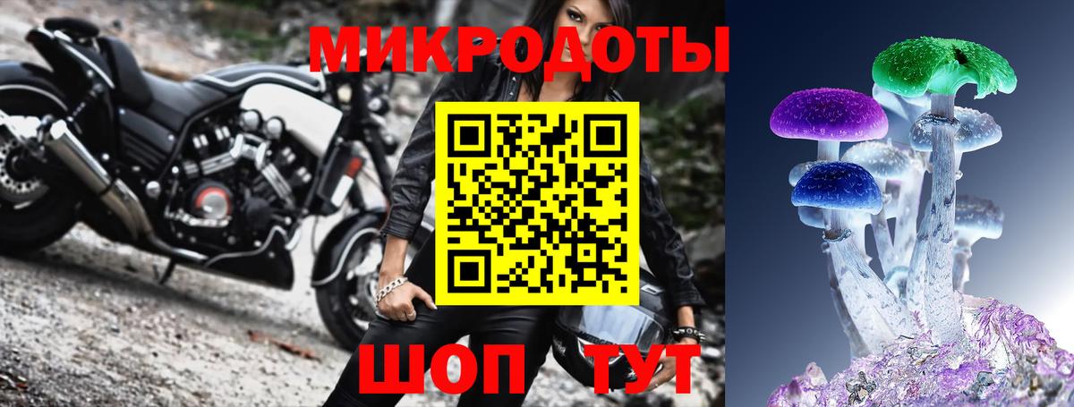 Псилоцибиновые грибы GOLDEN TEACHER  Галлюциногенные грибы прущие грибы  Сокол  Вход с VPN 